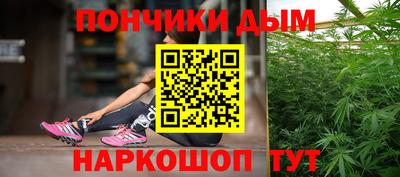 молекула духа Камышлов