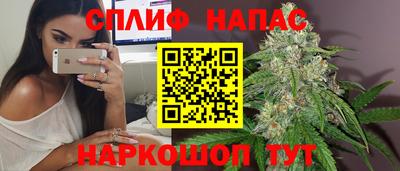 молекула духа Камышлов