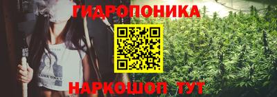 молекула духа Камышлов