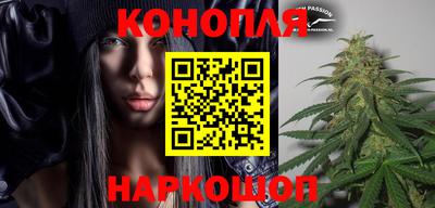 крисы Кинель