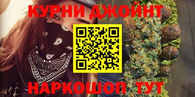 спайс Кингисепп
