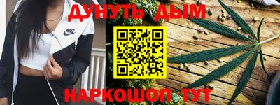 спайс Кингисепп