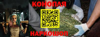 молекула духа Камышлов