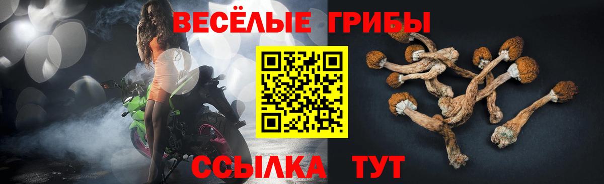 Галлюциногенные грибы Psilocybine cubensis  Вход с VPN  Алапаевск 